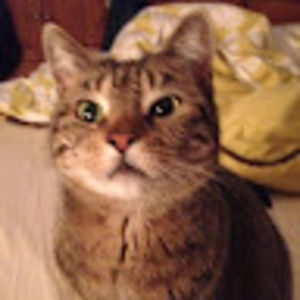 Meet your Posher, Marisa